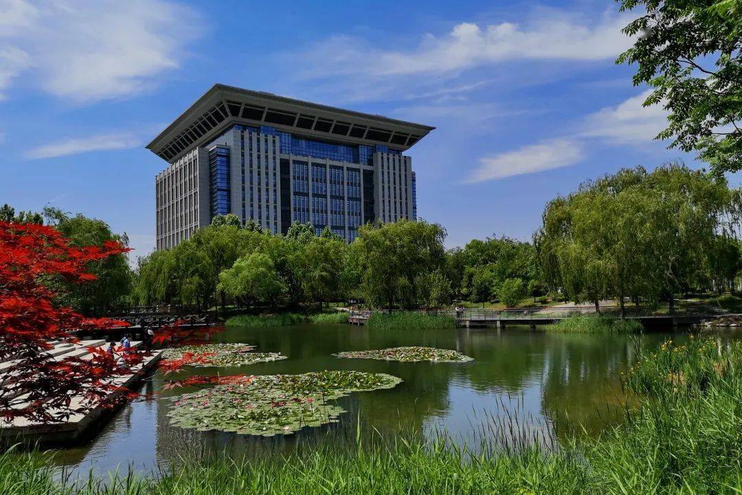 河南財院分數線2019_河南財經大學專業(yè)錄取分數線_河南財經學院分數線
