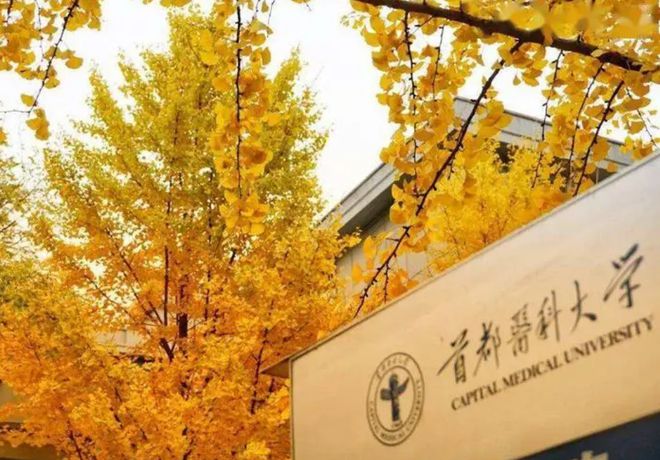 985211大學名單排名及錄取分數線_985211高校錄取分數_985221大學排名分數線
