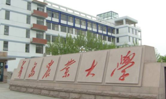 青島農業大學算好的二本嗎_青島農業大學怎么樣?是一本還是二本?_青島農業一本還是二本