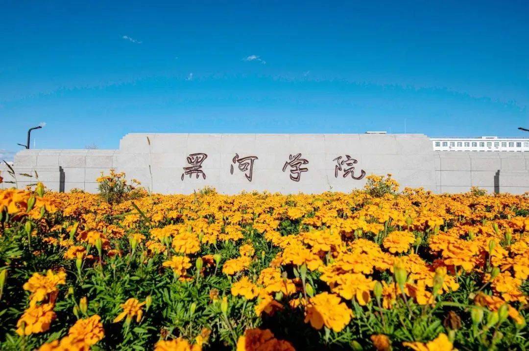 河北理工大學地址_河北理工大學地址在哪里_河北大學理工學院簡介